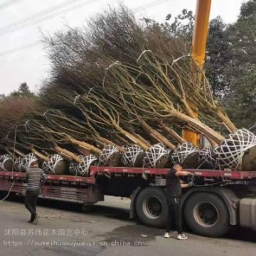 大连变频高大空间空调冷暖机组报价