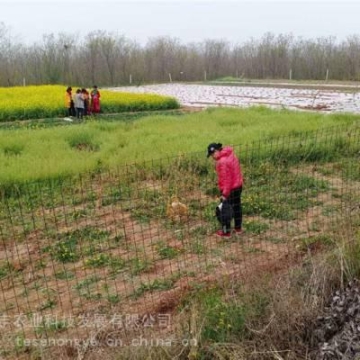 道路清障车价格最优