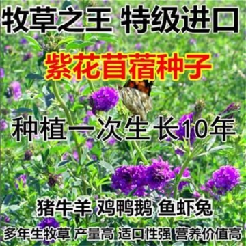 新疆同步碎石封层车报价及图片