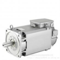 1PH8101-1HF00-1BA1西门子紧凑型异步电机 1500RPM，3.7kW 带温度传感器