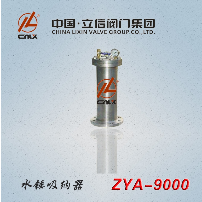 ZYA-9000水锤吸纳器