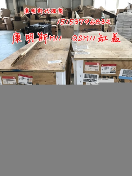 抚挖康明斯QSL9四配套{美康正品}4089963活塞组件带环