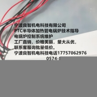 宁波良智机电科技在机械自动控制领域发展前景无限。PTC半导体加热管电锅炉技术指导