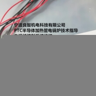 加热寿命3年以上引线材质耐高温导线宁波良智机电科技PTC半导体加热管电锅炉技术指导