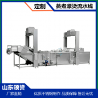 领誉 大型蔬菜杀青线 冻干果蔬清洗漂烫加工设备