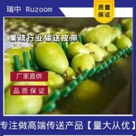 RUZOOM瑞中土豆紫外线皮带线果蔬辐射加工插花苹果高冲击高磨损延伸输送带