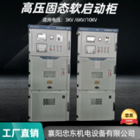 高压电机起动柜ZDGR-800KW/10KV固态软启动装置 可控硅晶闸管人机界面操控