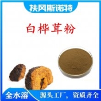 白桦茸粉 食品级原料 10:1