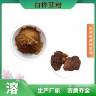 白桦茸粉 生产厂家 斯诺特生物 可定制