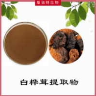 白桦茸提取物 白桦茸浓缩粉 扶风斯诺特 源头厂家